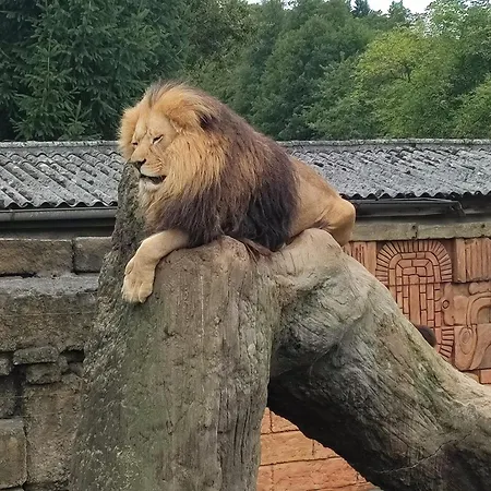 アパート Sarka *