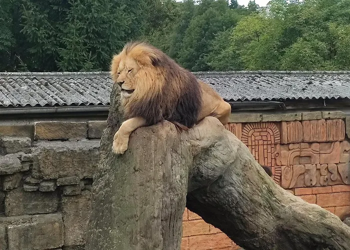 アパート Sarka *